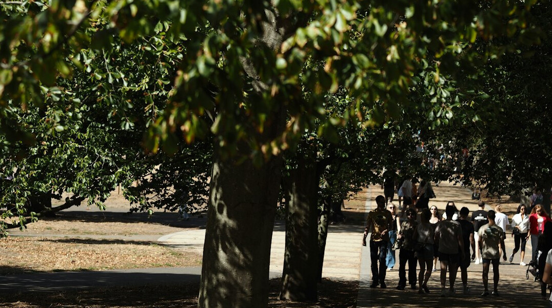 person walking in park
