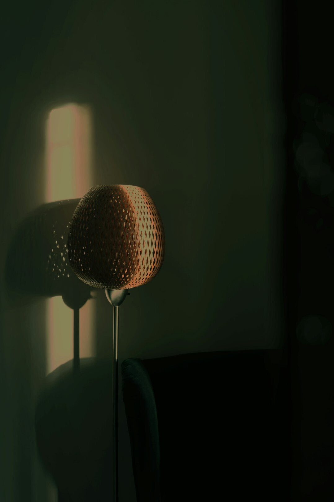 Studio microphone with a pop filter in dim light